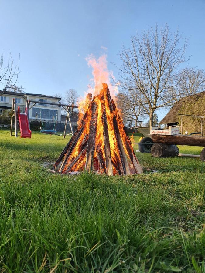 Ferienhof Leopold In Der Grub Ort im Innkreis ภายนอก รูปภาพ